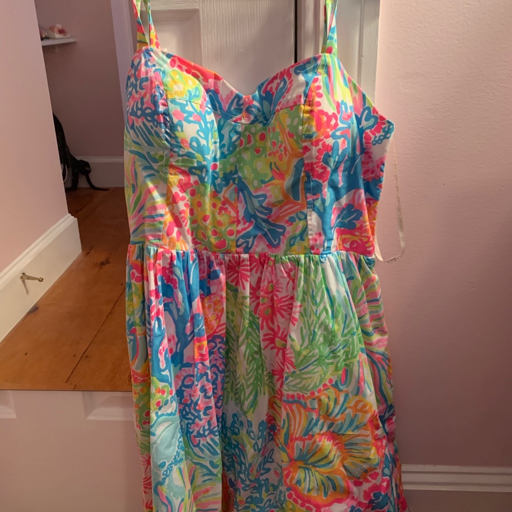lilly pulitzer dress